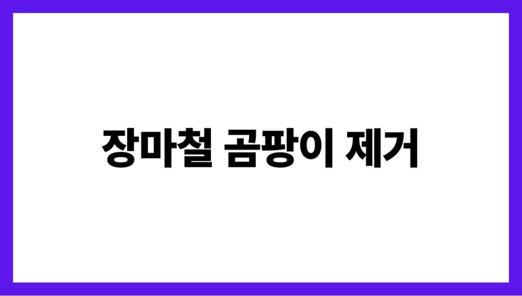 장마철 곰팡이 제거
