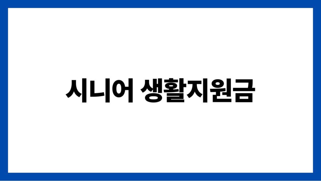 시니어 생활지원금