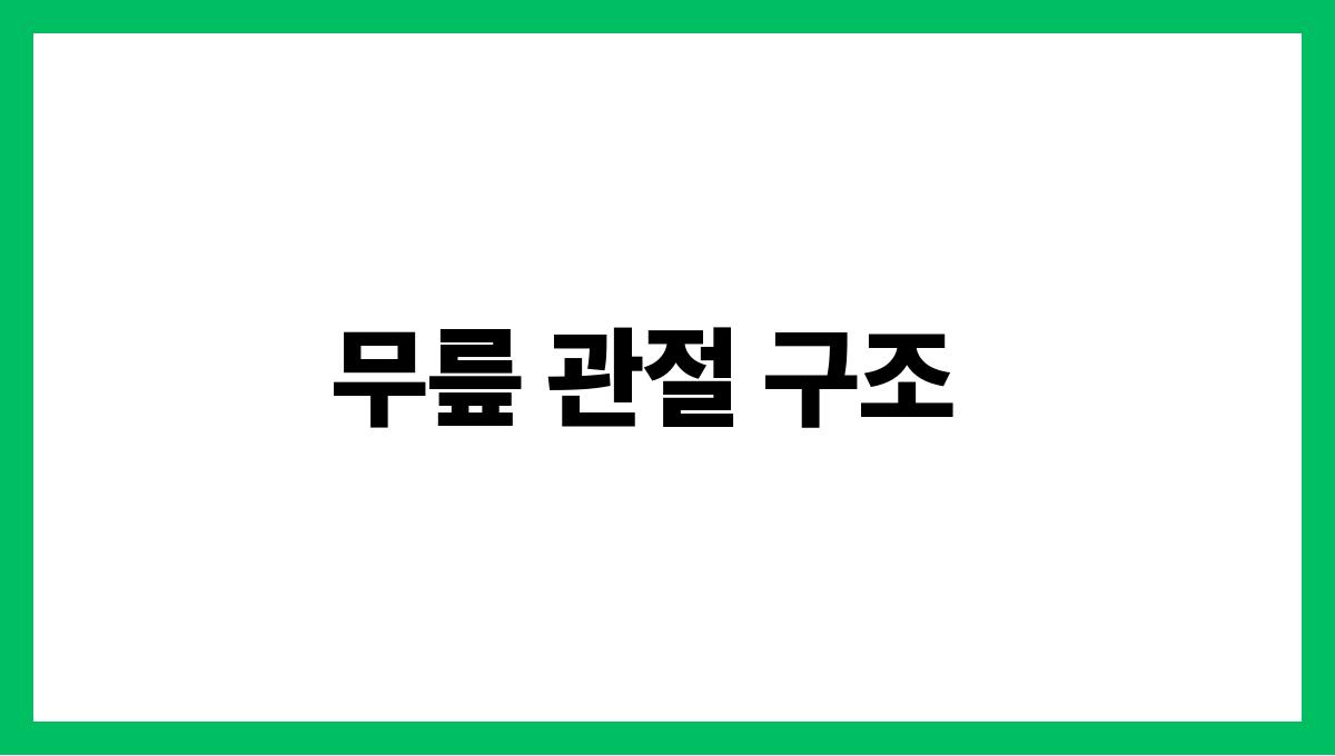 무릎 관절 통증 무릎 관절 구조