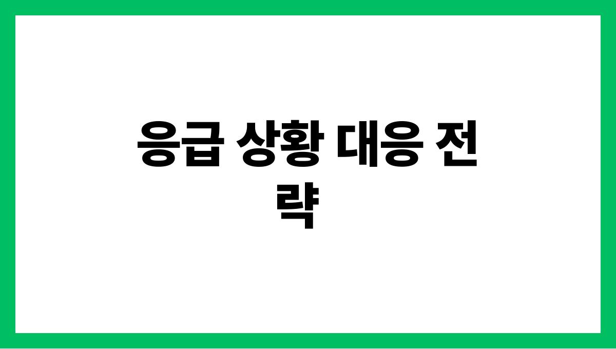 시니어 응급 앱 응급 상황 대응 전략