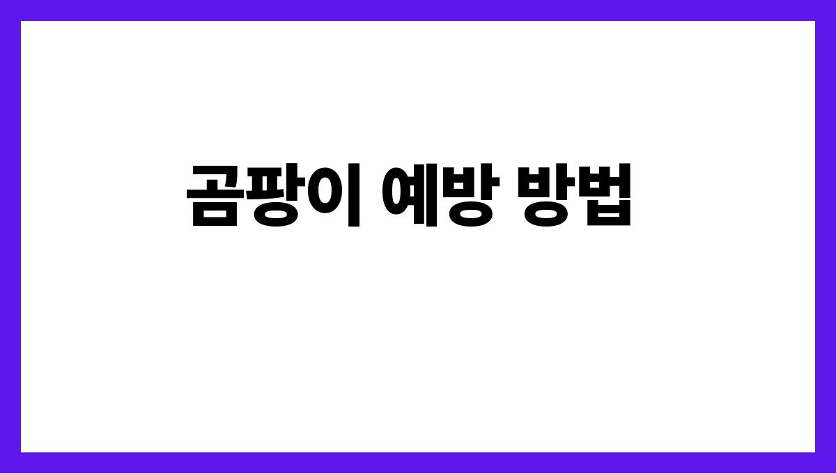 장마철 곰팡이 제거 곰팡이 예방 방법