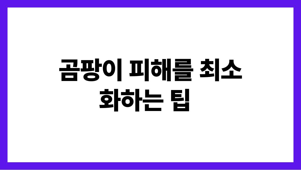 장마철 곰팡이 제거 곰팡이 피해를 최소화하는 팁