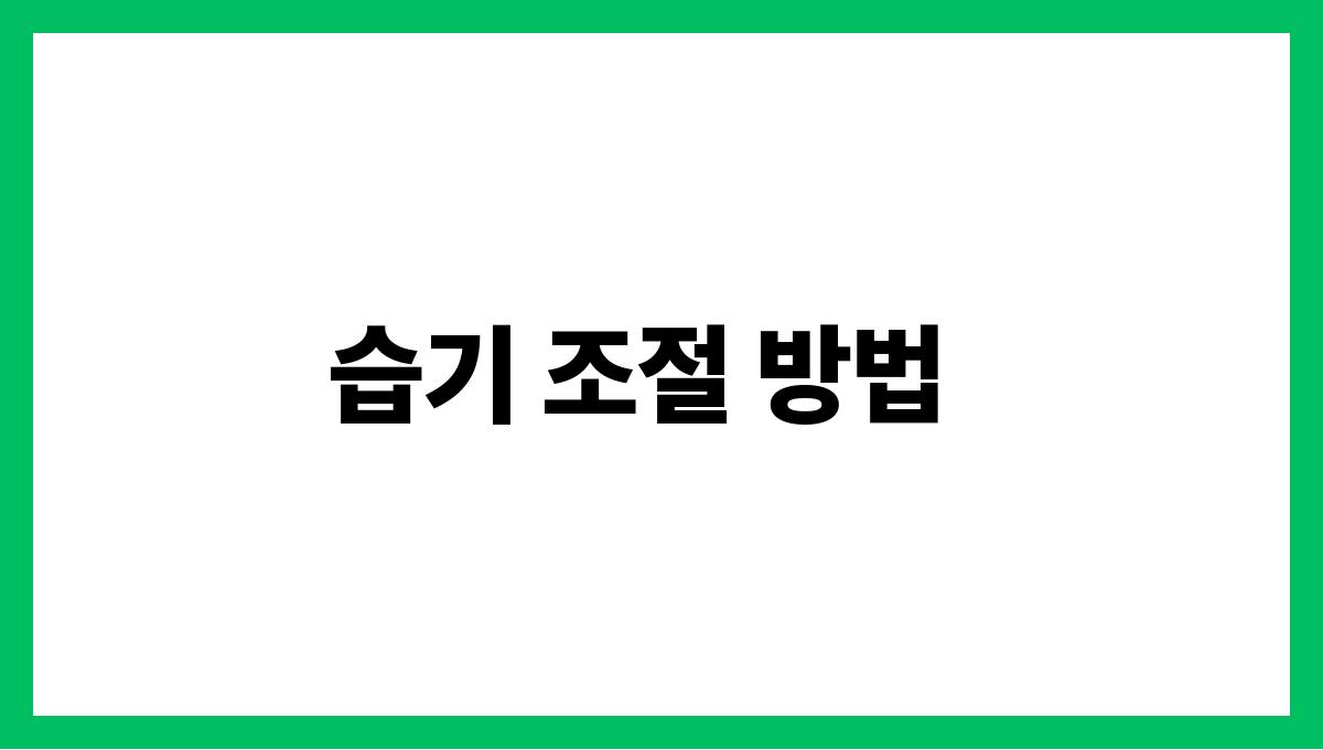 실내 습기 습기 조절 방법