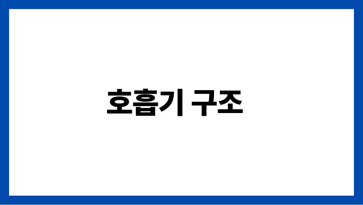 호흡기 건강 호흡기 구조