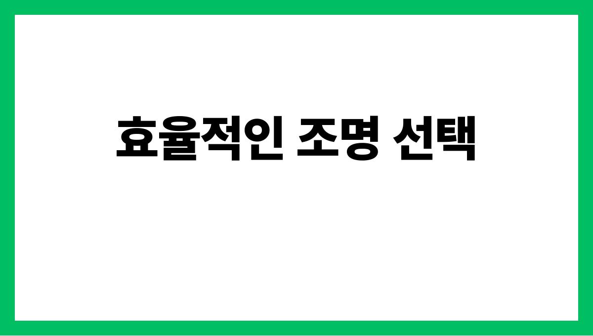 에너지 절약법 효율적인 조명 선택