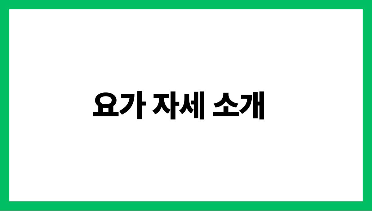 시니어 요가 요가 자세 소개