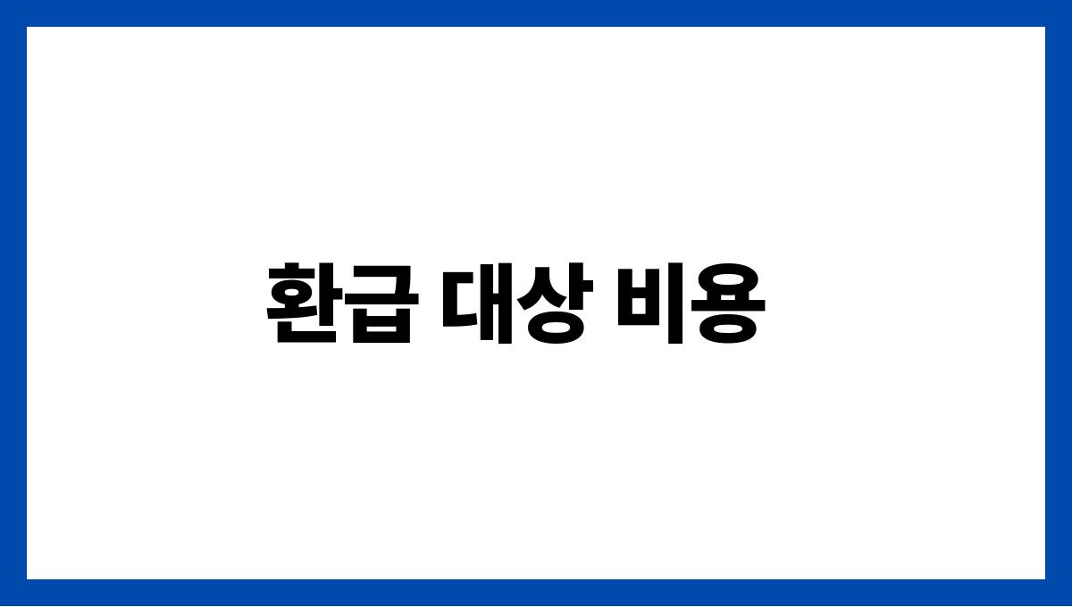 건강보험 환급 환급 대상 비용