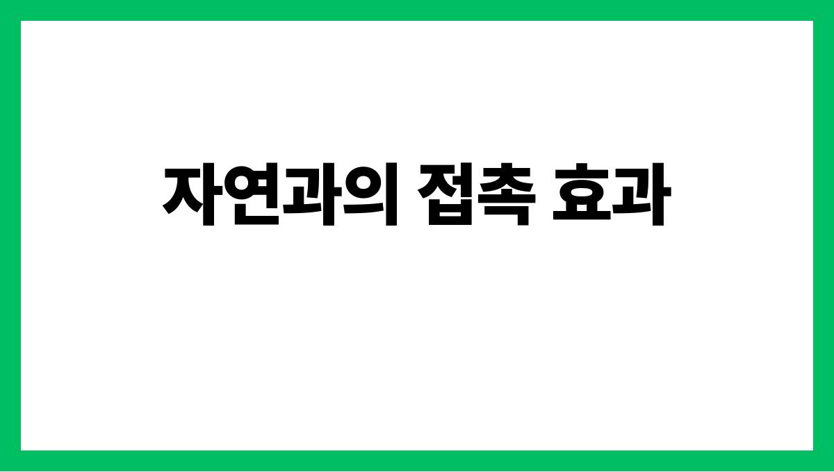 여름철 기분장애 예방 자연과의 접촉 효과