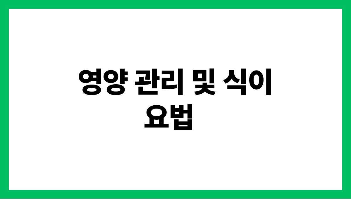 시니어 복부비만 영양 관리 및 식이요법