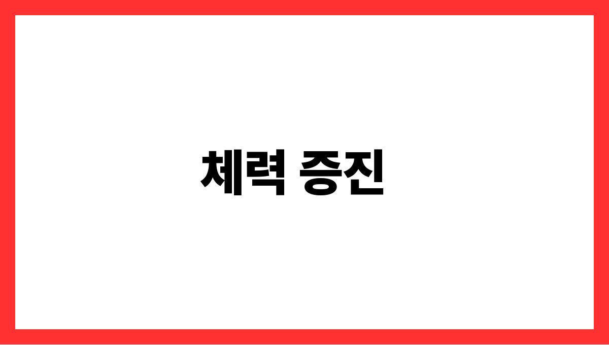시니어 실내 운동 루틴 체력 증진