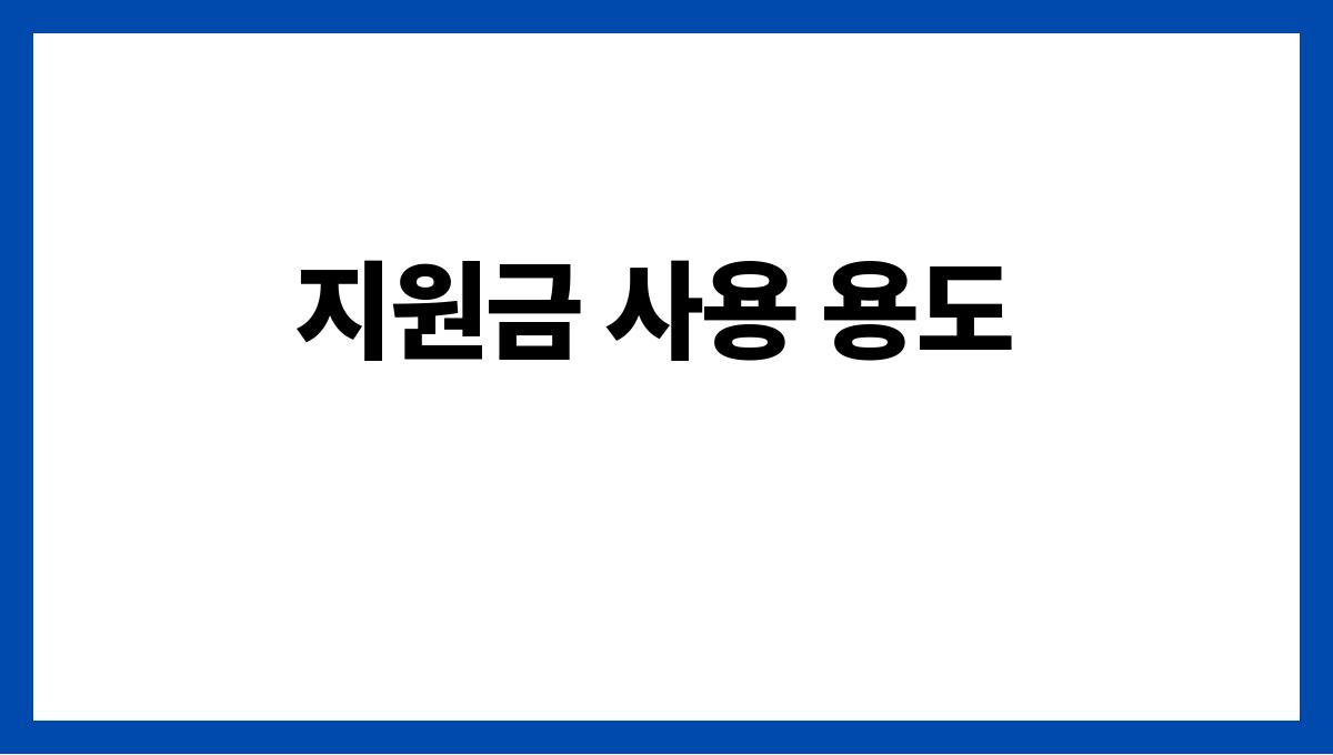 시니어 생활지원금 지원금 사용 용도