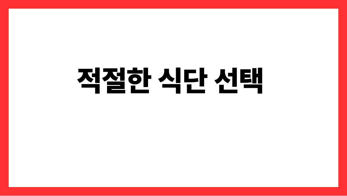 시니어 체중관리 적절한 식단 선택