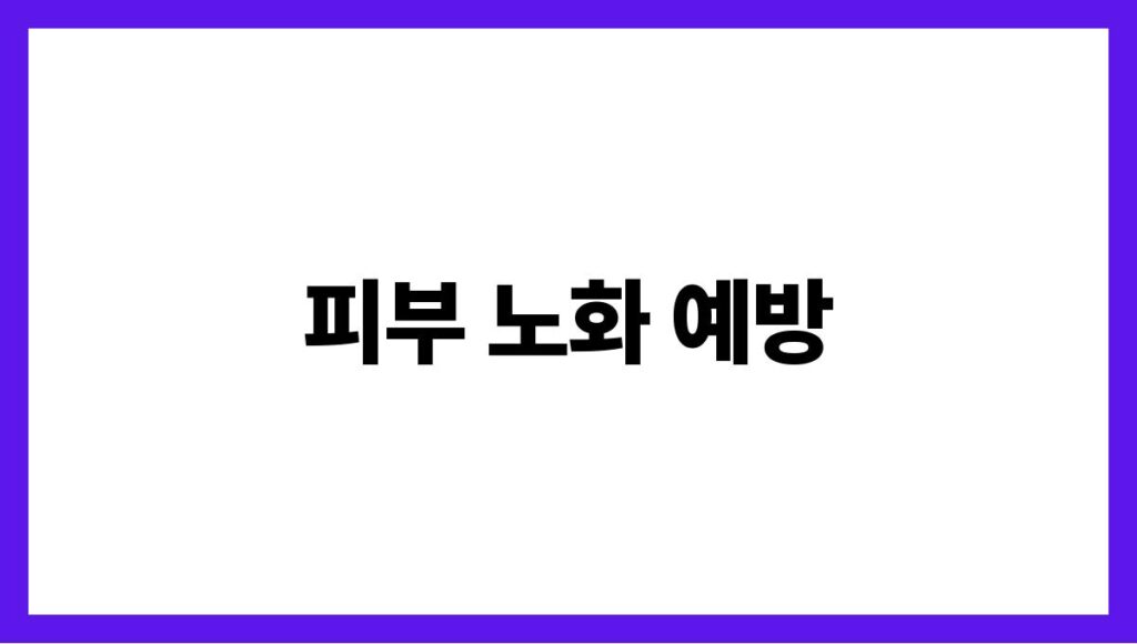 피부 노화 예방