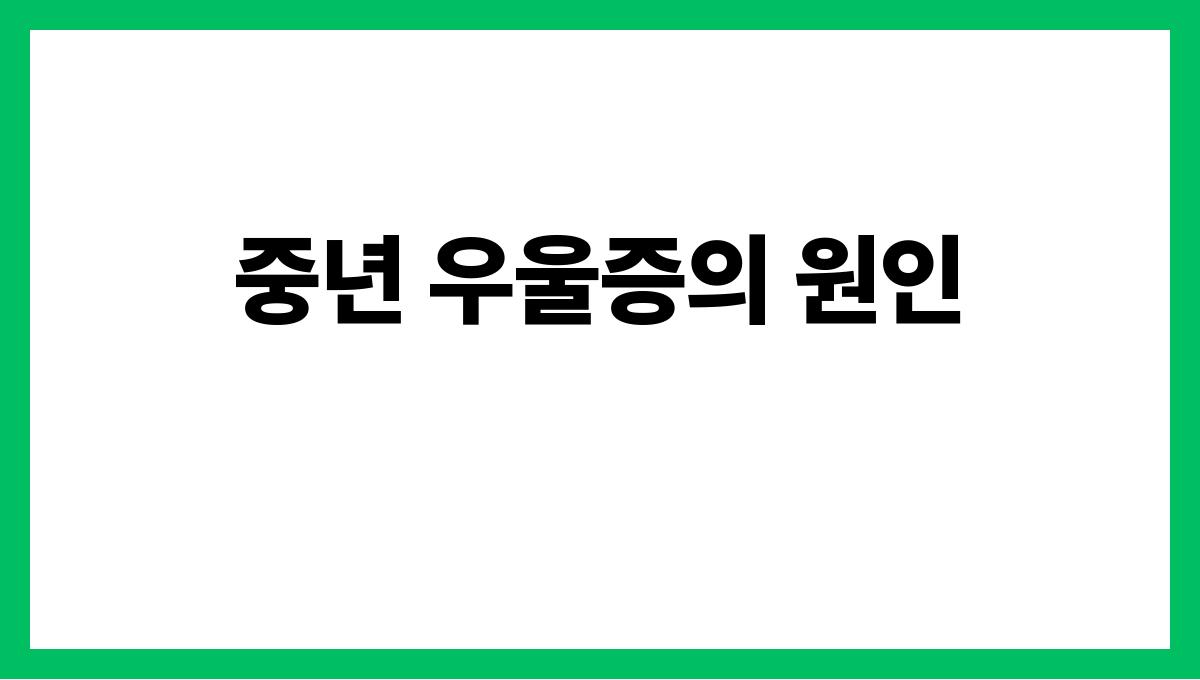 중년 우울증 중년 우울증의 원인