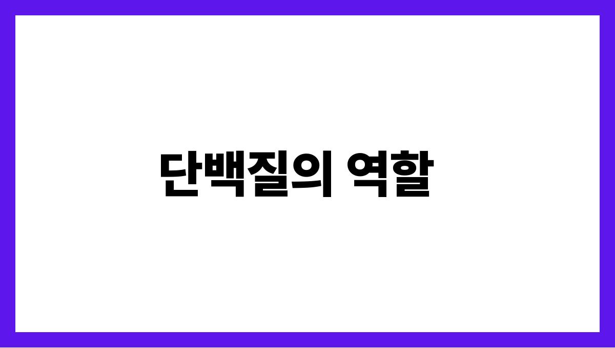 단백질 보충 단백질의 역할