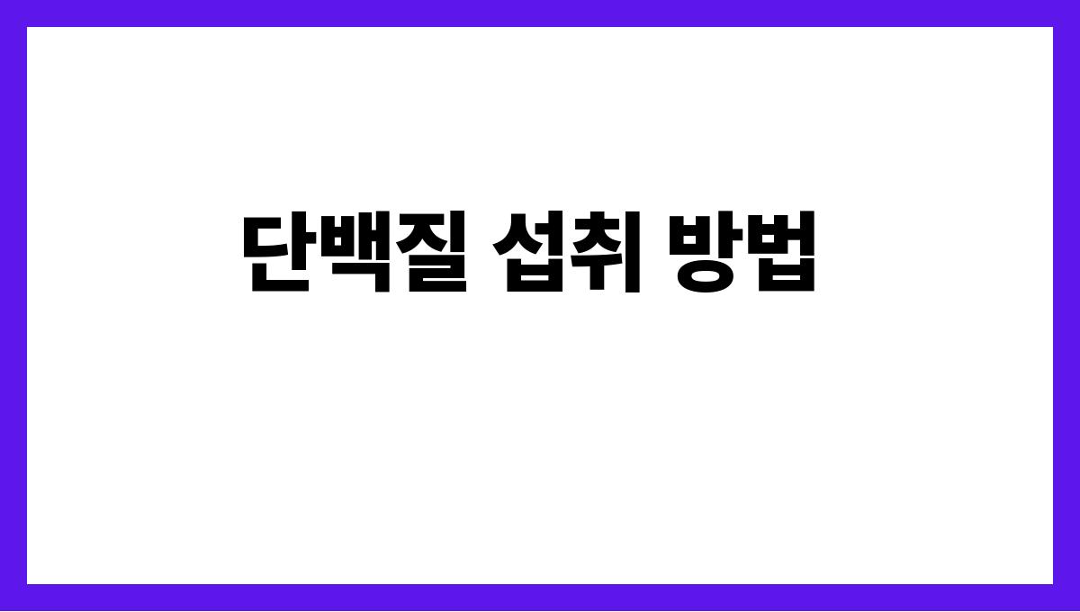 단백질 보충 단백질 섭취 방법