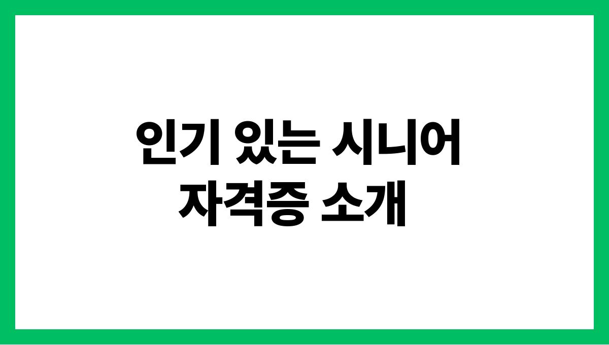 시니어 자격증 인기 있는 시니어 자격증 소개