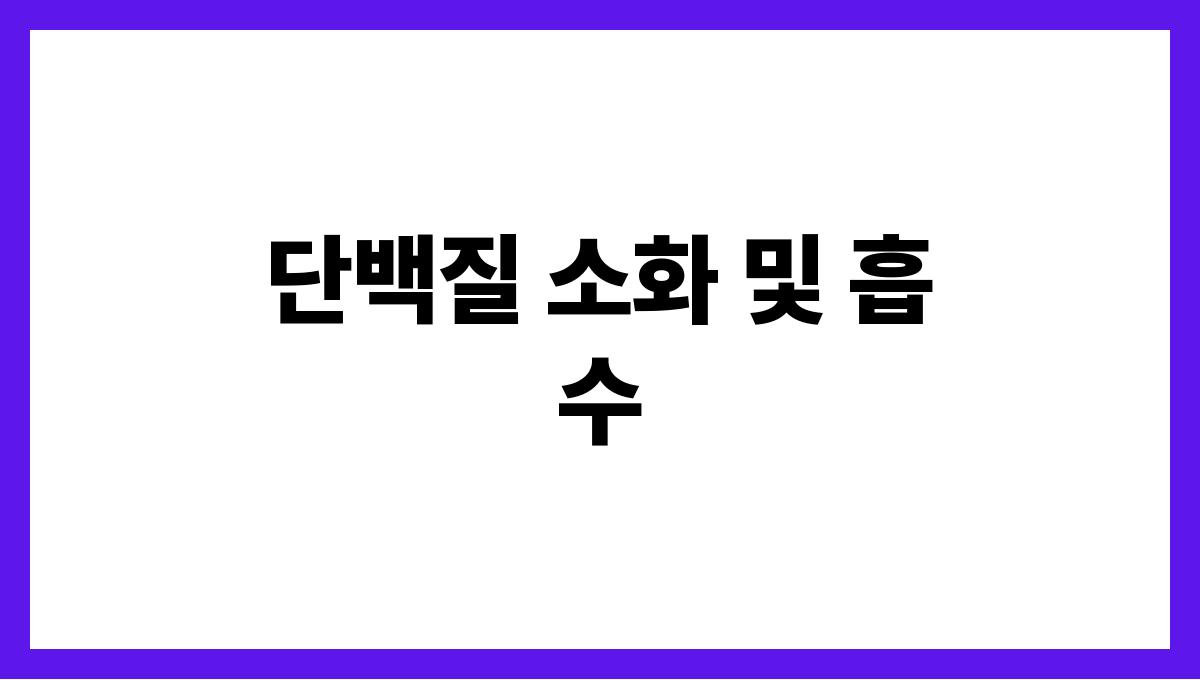 단백질 보충 단백질 소화 및 