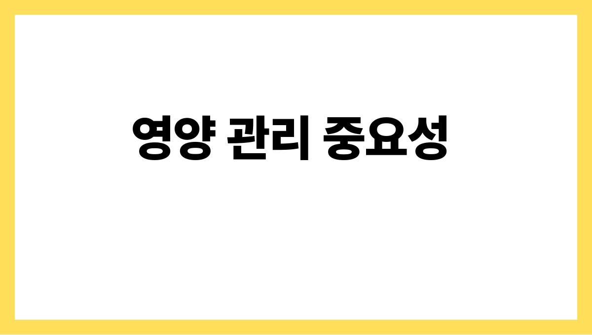 경북 영양군 고령자 영양지원 식단 배달 신청(무료·유료) 영양 관리 중요성