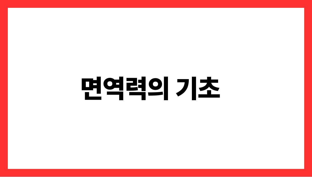면역력 강화 음식 면역력의 기초