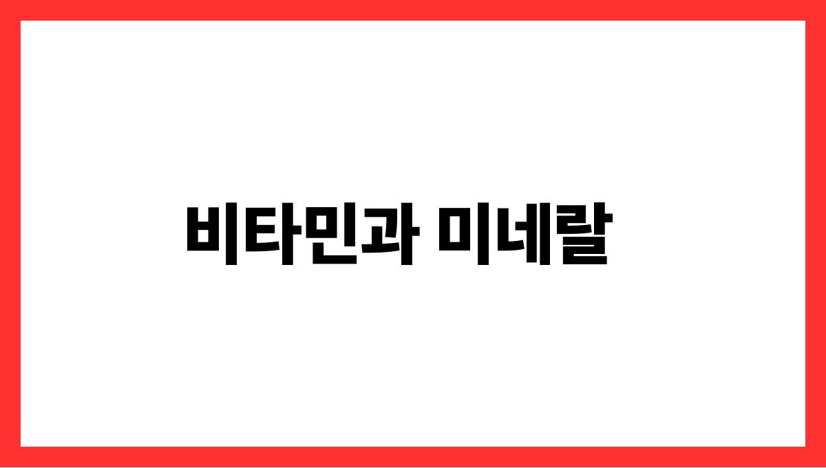 면역력 강화 음식 비타민과 미네랄