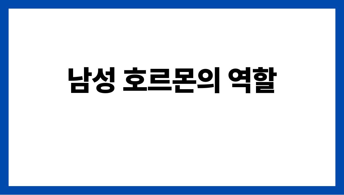 남성 호르몬 관리 남성 호르몬의 역할