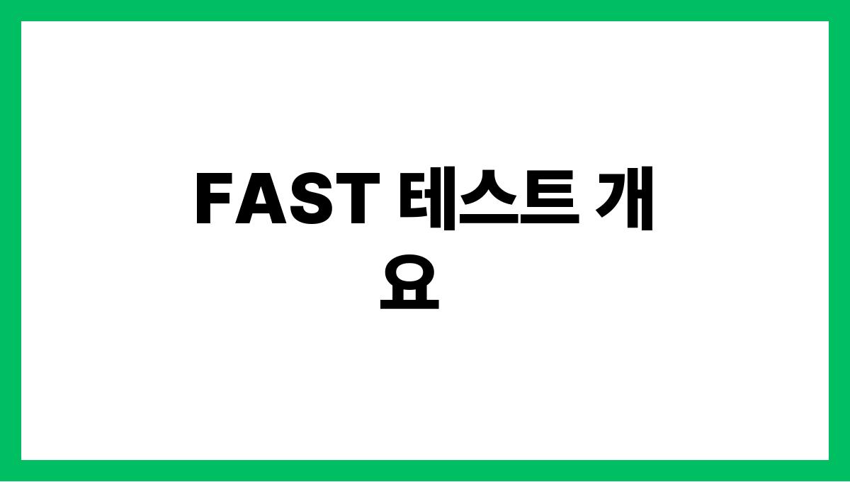 FAST 테스트 FAST 테스트 개요