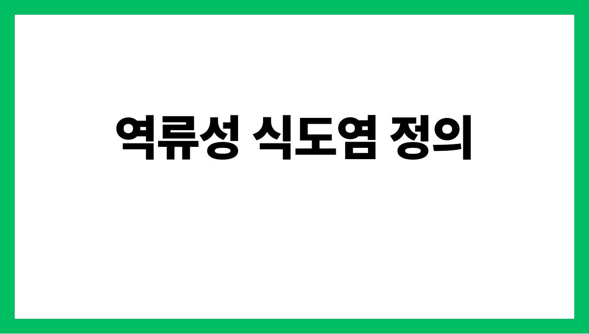 역류성 식도염 역류성 식도염 정의